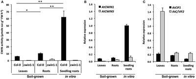 Targeting the AtCWIN1 Gene to Explore the Role of Invertases in Sucrose Transport in Roots and during Botrytis cinerea Infection